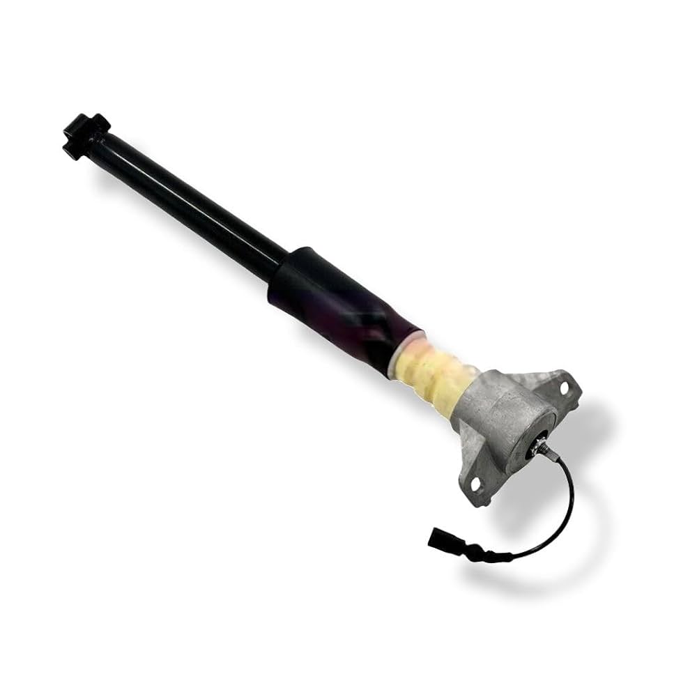 Amazon.com: Rear Left Shock Absorber Struts Assembly with